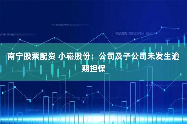 南宁股票配资 小崧股份：公司及子公司未发生逾期担保