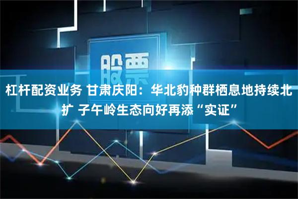 杠杆配资业务 甘肃庆阳：华北豹种群栖息地持续北扩 子午岭生态向好再添“实证”